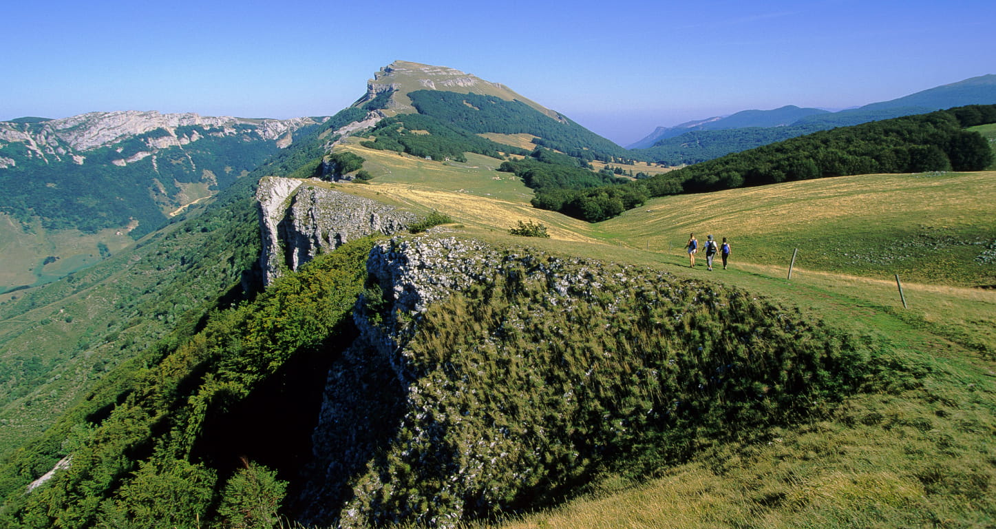 Randonnée sur le plateau d'Ambel dans le Vercors - Top des spots nature de la Drôme